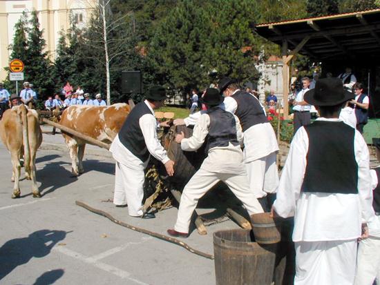 Demonstracija kako se to nekad radilo