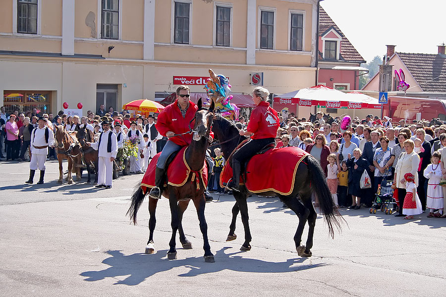 Opet konji