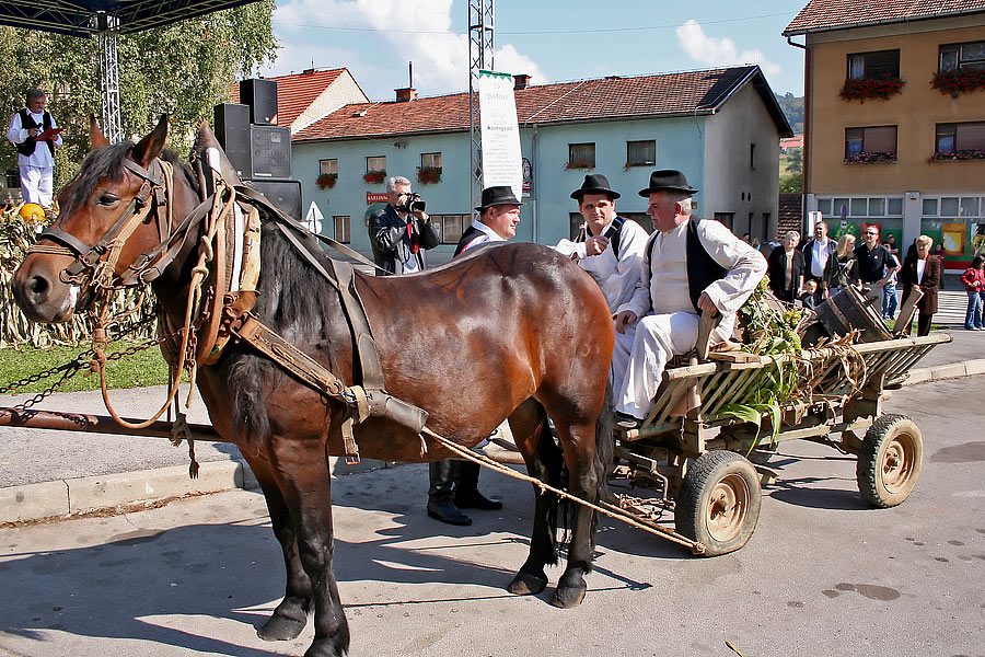 S povorke kola