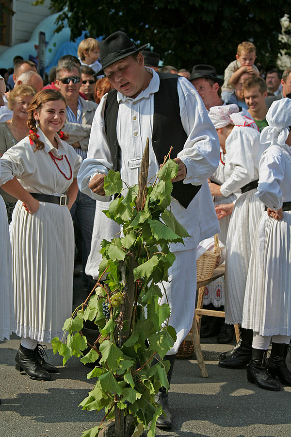 Nastup KUD-a Pregrada