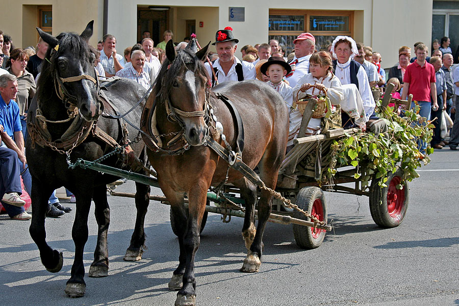 Povorka kola