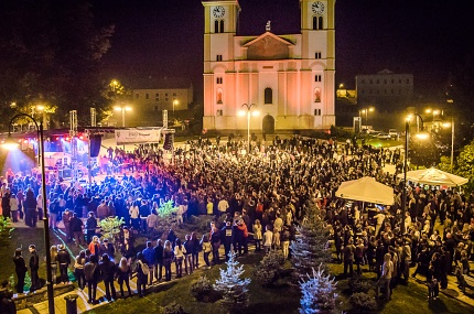 Koncert Hladnog piva