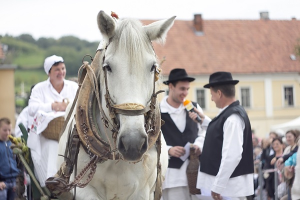 Foto: Hrvoje ora