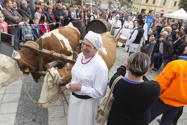 (Foto: Hrvoje Šorša) (Foto: Hrvoje Šorša)