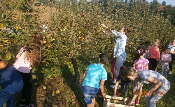Učenici su zajedno s učiteljima posjetili voćnjak u sklopu Obiteljskog doma Golubić (Foto: zagorje.com) Učenici su zajedno s učiteljima posjetili voćnjak u sklopu Obiteljskog doma Golubić (Foto: zagorje.com)