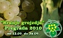 Branje grojzdja 2010 - Program