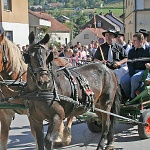 Povorka beraa grojzdja