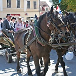 Povorka beraa grojzdja